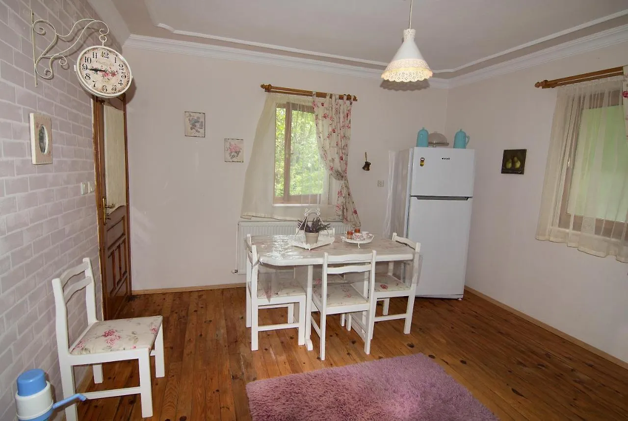 Villa River Village Trabzon Turcja